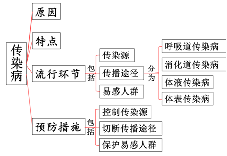 2410c5d2716a4810a1da094f764c1fab.png
