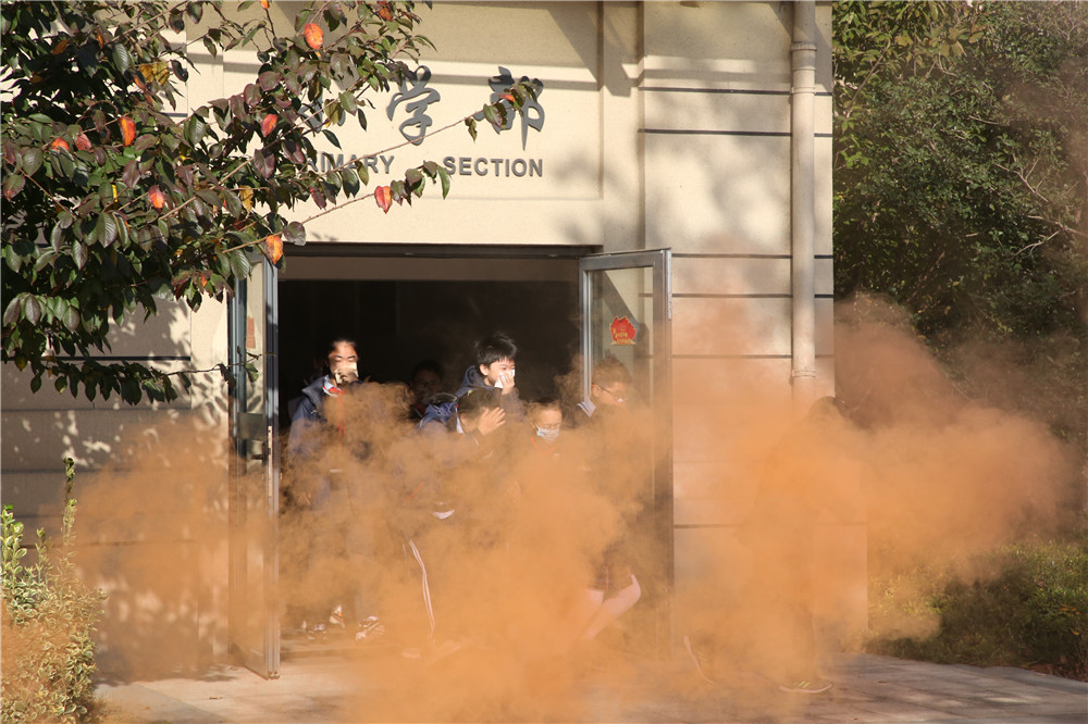 cbdd49b090094112a4059ee8705ede7a.jpg cbdd49b090094112a4059ee8705ede7a.jpg