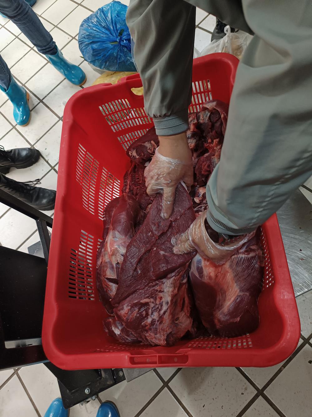 79c398ea41034fb291a9c07d762b6d75.jpg 79c398ea41034fb291a9c07d762b6d75.jpg