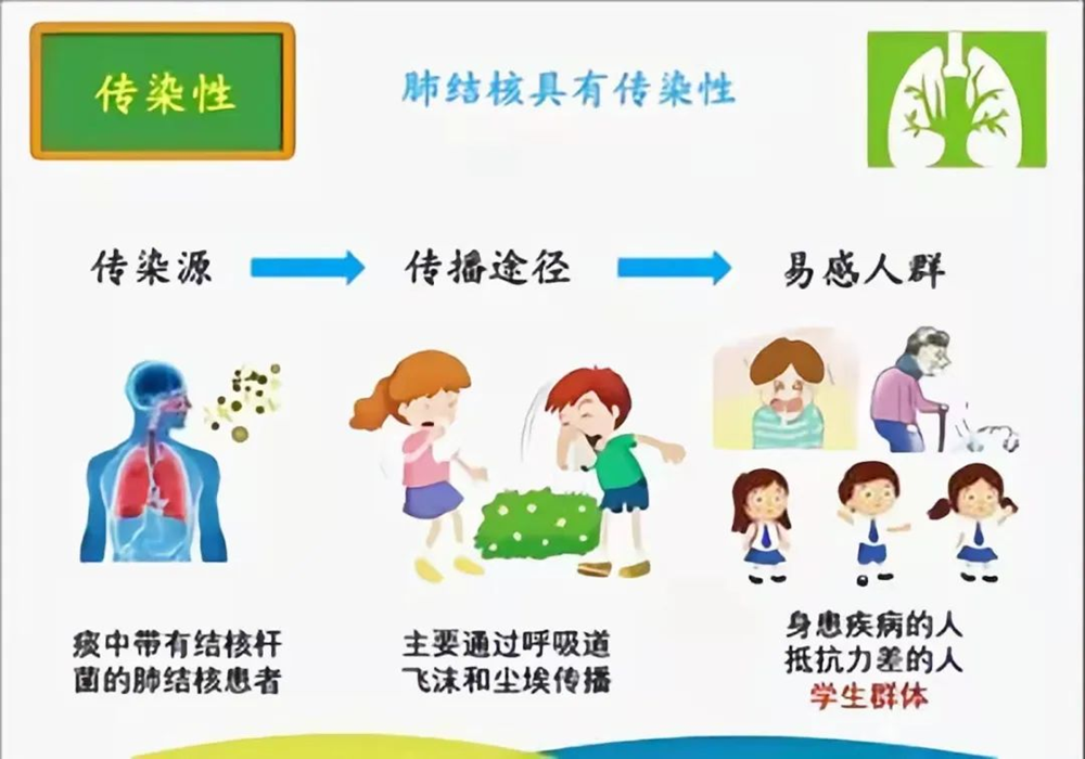 6a2d95c2ca6c4440b959cc531cdcb1ae.Png