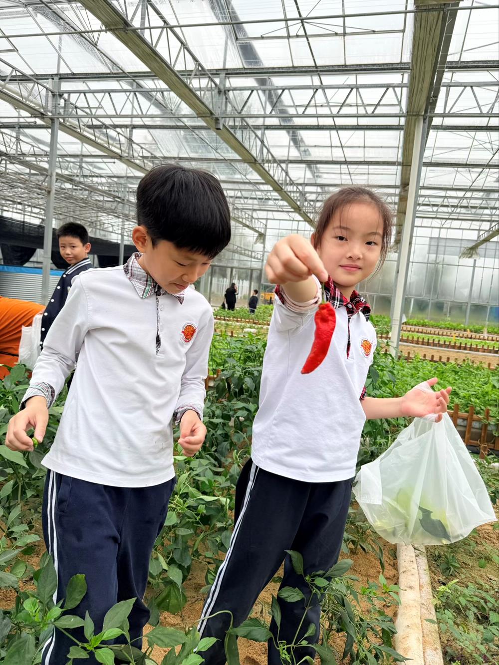 1a6e544093c143a589995a471f46c2f0.jpg 1a6e544093c143a589995a471f46c2f0.jpg