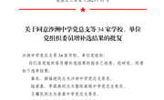 张教党工委复〔2023〕11号关于同意沙洲中学党总支等34家学校、单位党组织委员增补选结果的批复